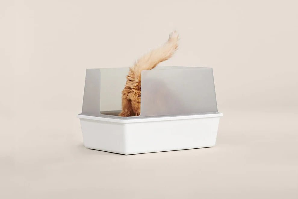 Cubby Litter Box