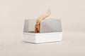Cubby Litter Box