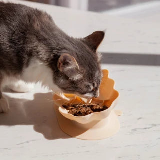 Whiskies Cat Bowl Slow Feeder, Silicone