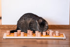 MICE Wood Foraging Puzzle Toy