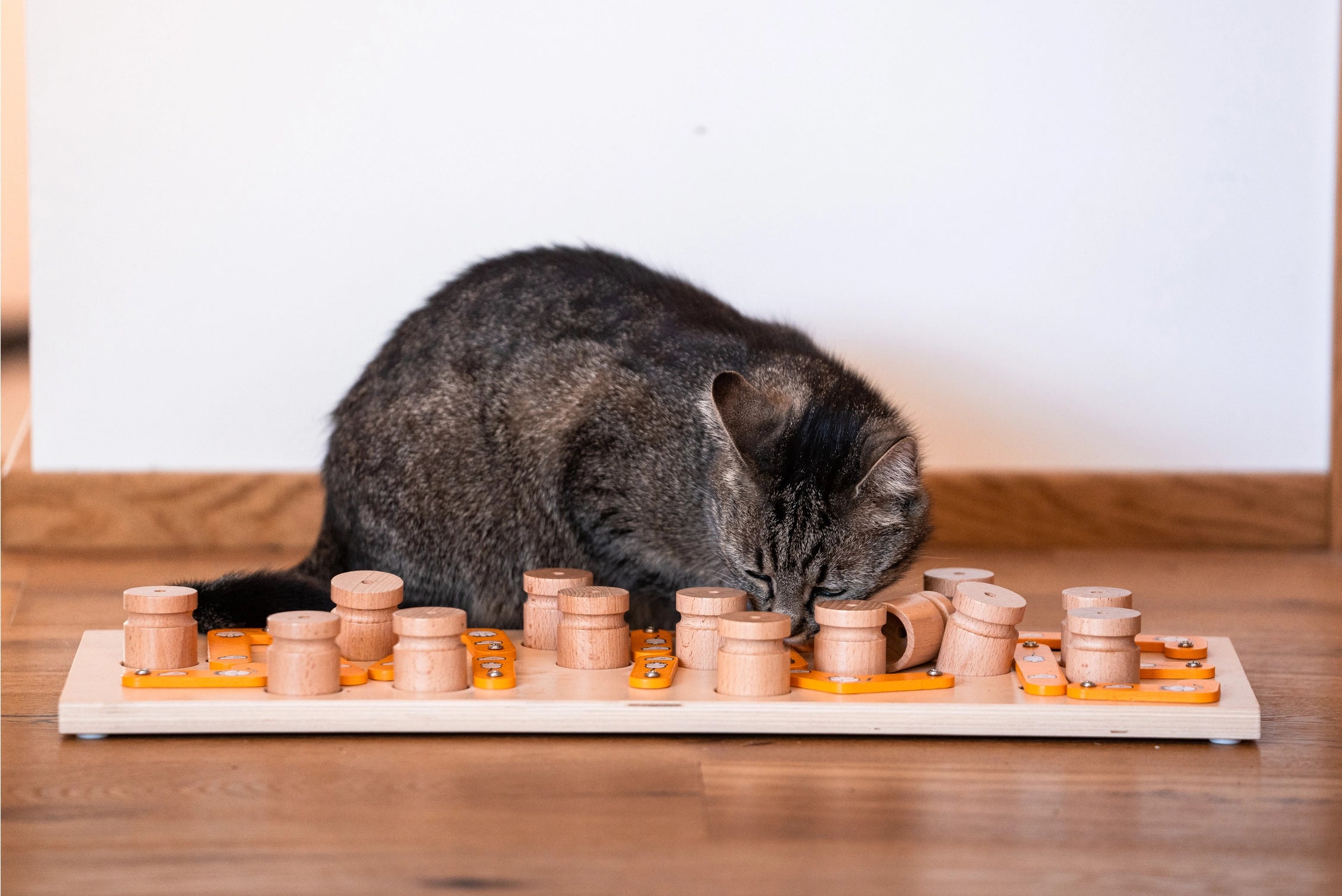 MICE Wood Foraging Puzzle Toy