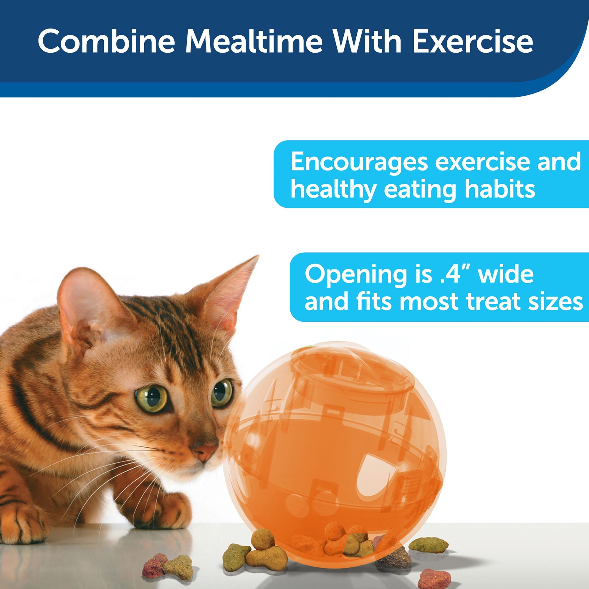 SlimCat Interactive Feeder
