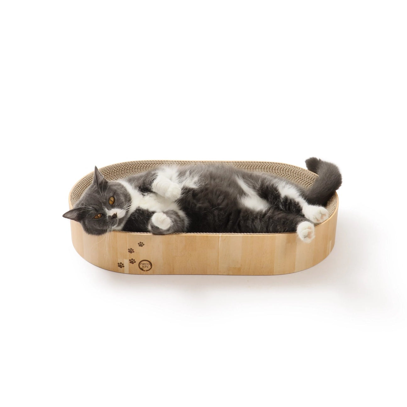 Cozy Bowl Capsule Cat Scratcher