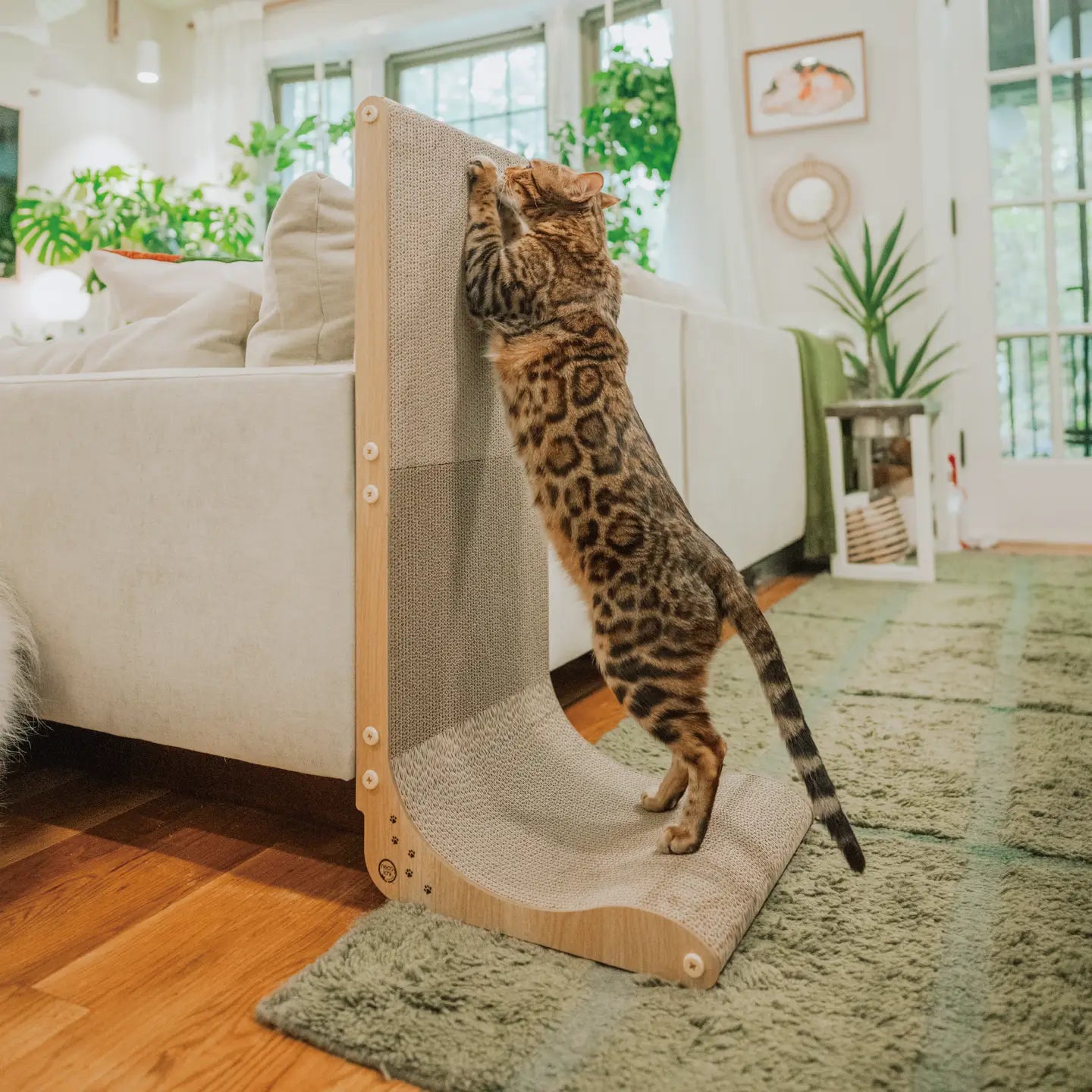 Premium Comfort Scratcher Wall