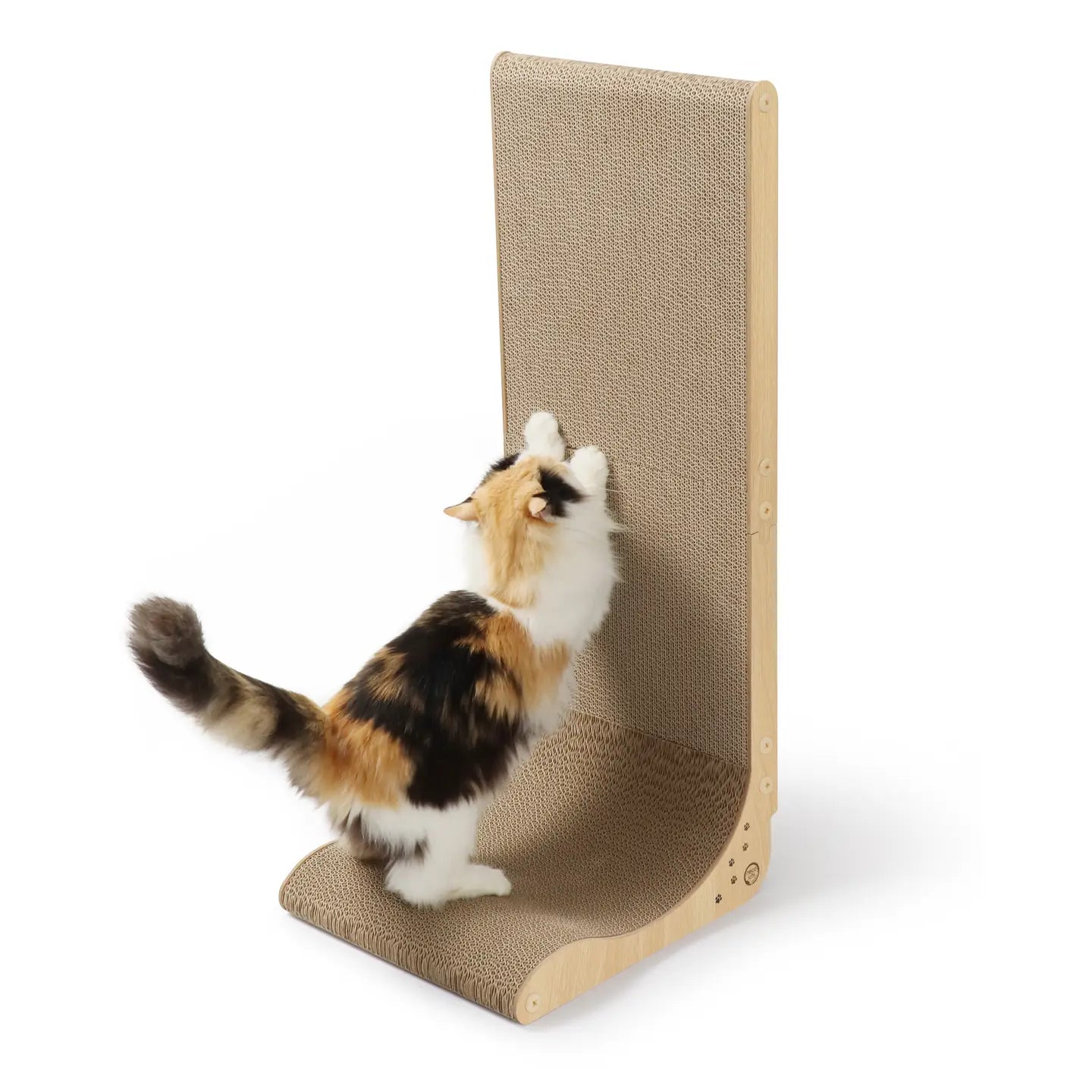 Premium Comfort Scratcher Wall