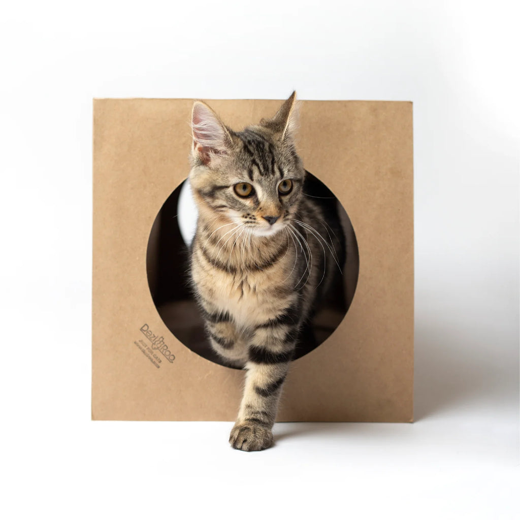 Hide and Sneak Unique Cat Tunnel