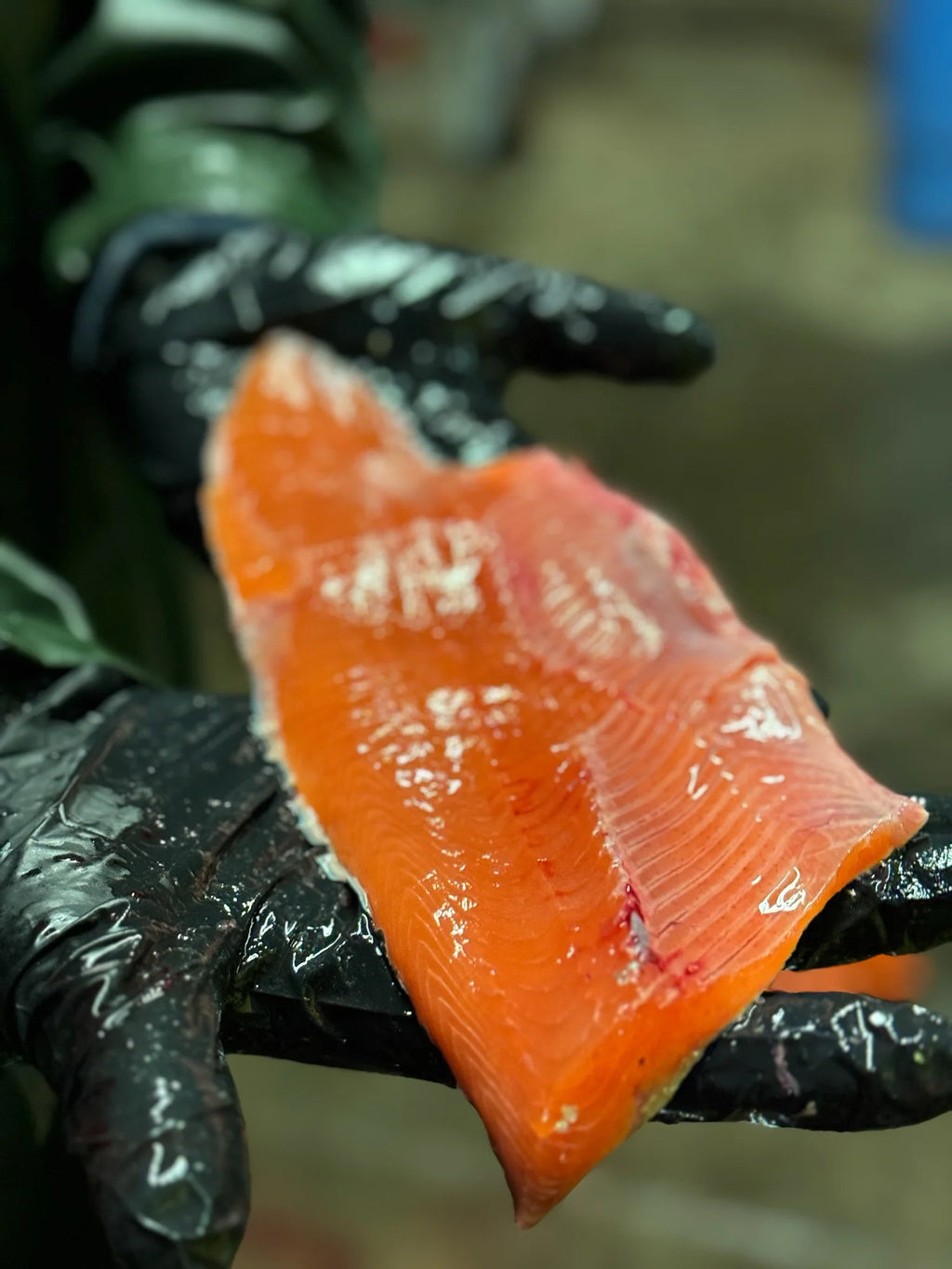 100% Wild Alaska Salmon Cat Treats, Freeze-dried