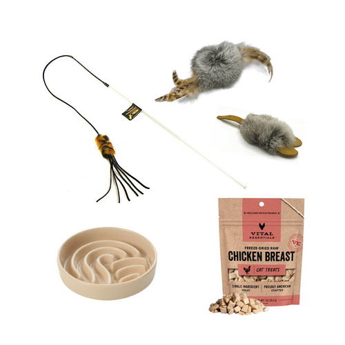 The Play Reset: For Play Aggression