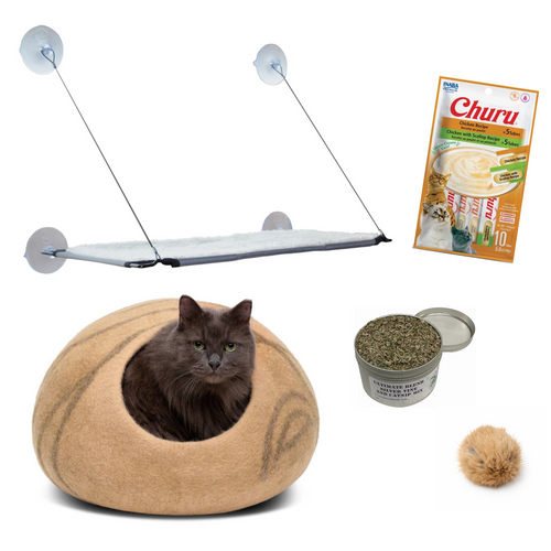 The Stress Reliever: For Fear, Anxiety, Stress