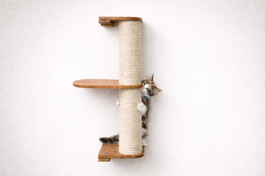 Wall Mounted Cat Climbing Pole