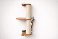 Wall Mounted Cat Climbing Pole