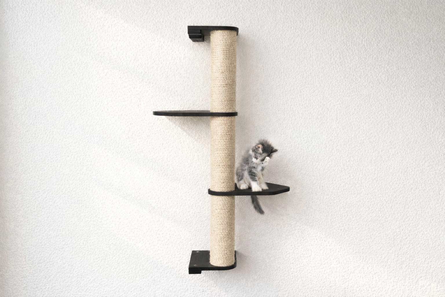 Wall Mounted Cat Climbing Pole