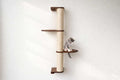 Wall Mounted Cat Climbing Pole by Catastrophic Creations