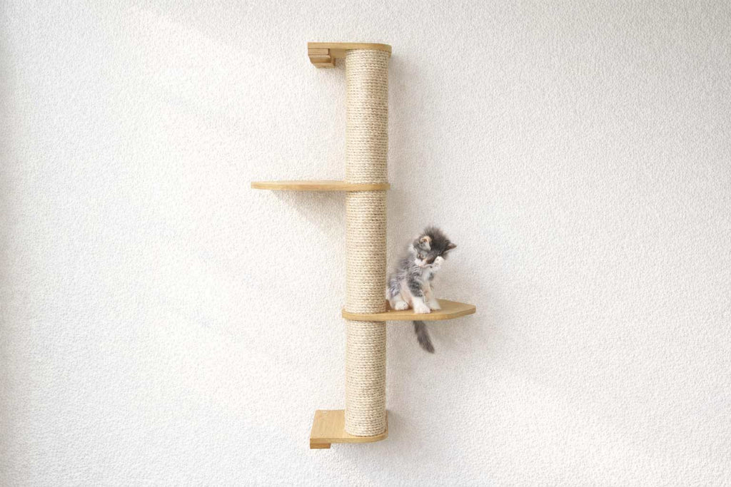 Wall Mounted Cat Climbing Pole