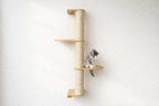 Wall Mounted Cat Climbing Pole