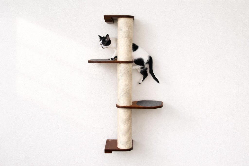 Wall Mounted Cat Climbing Pole