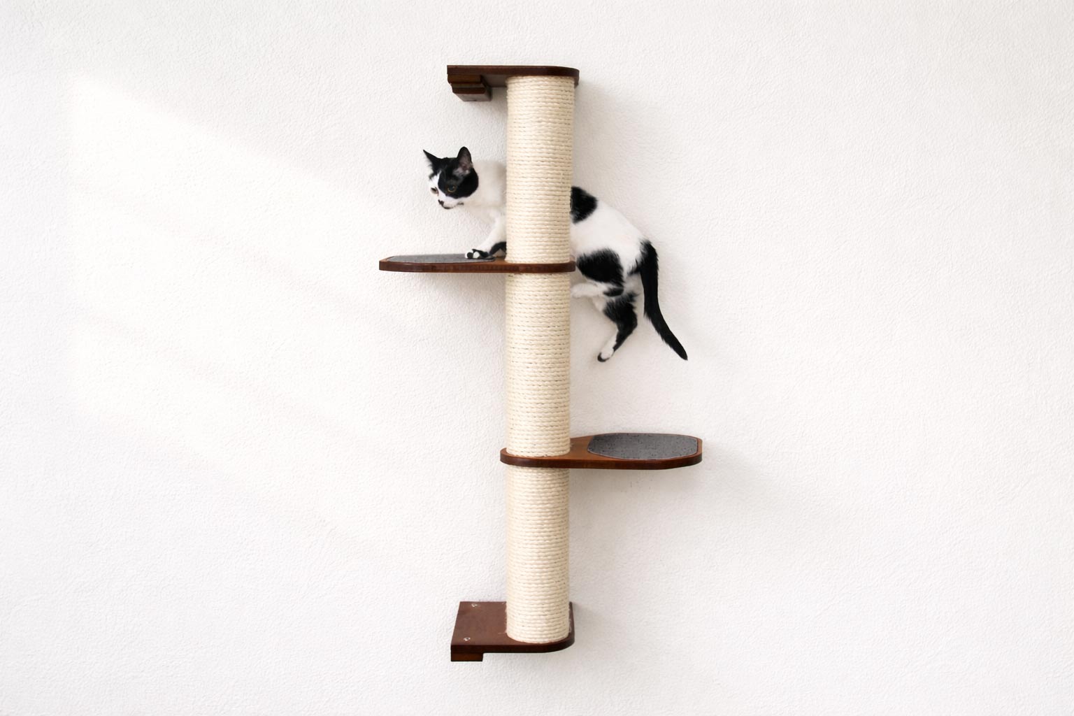 Wall Mounted Cat Climbing Pole