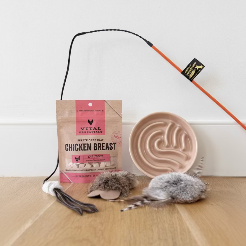 Cat treat, wand toy, prey toys, and slow feeder bundle
