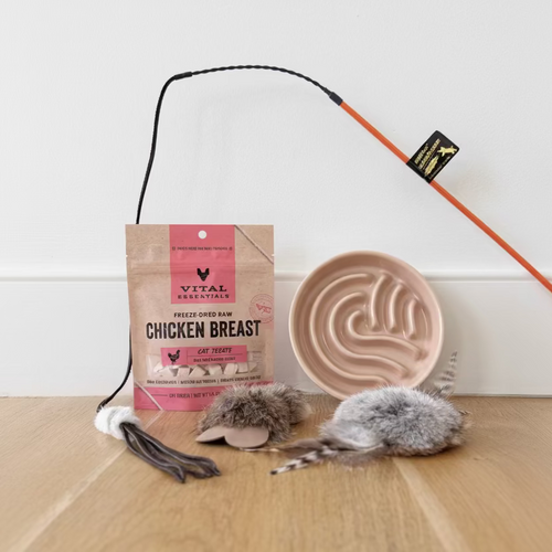 Cat treat, wand toy, prey toys, and slow feeder bundle