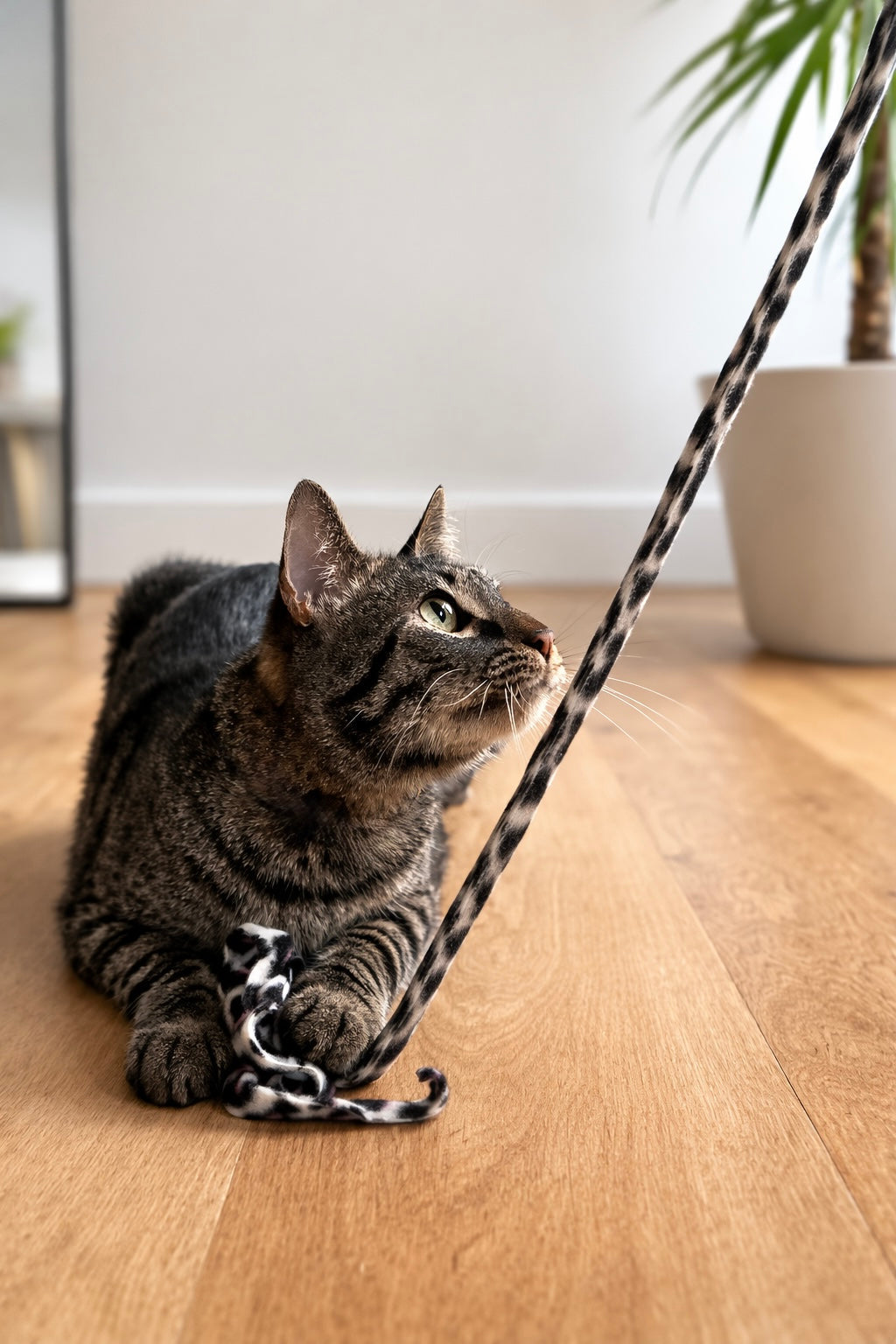 Cat playing with a wand toy on a wooden floor