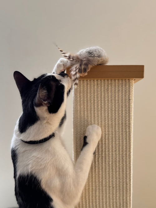 Birbit, Rabbit Fur and Feathers Cat Toy