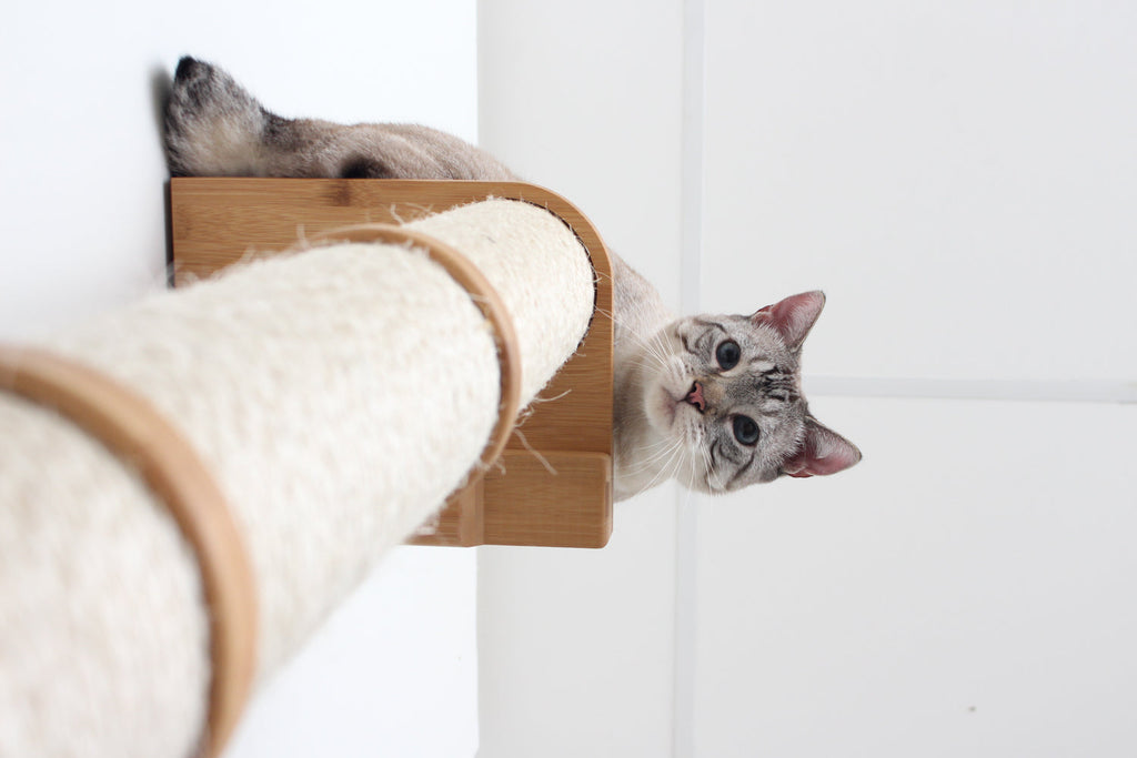 Wall Mounted Cat Climbing Pole