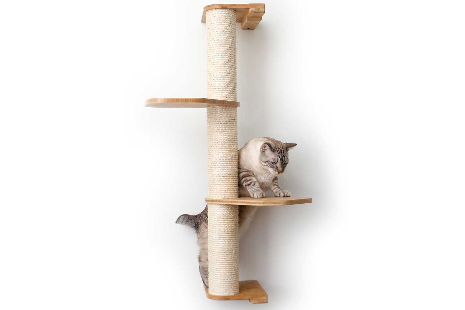 Wall Mounted Cat Climbing Pole