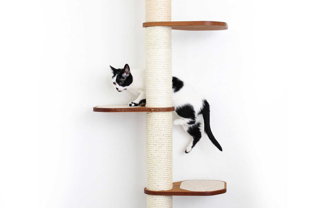 Wall Mounted Cat Climbing Pole