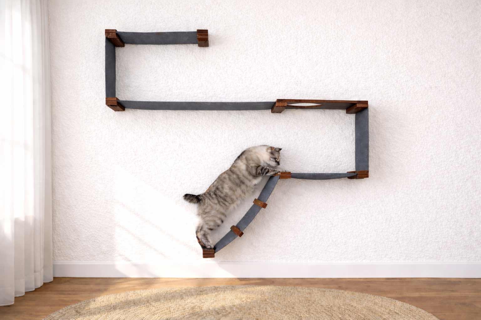 The Play