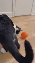 SlimCat Interactive Feeder