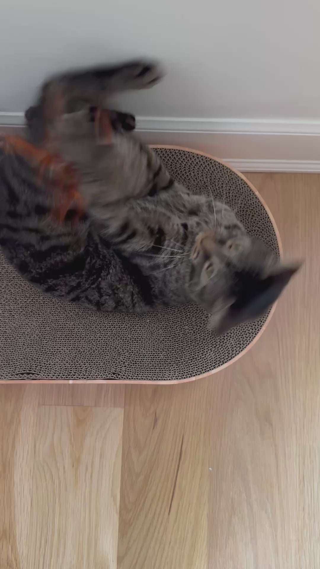 Rabbit Fur and Feathers Cat Kicker Toy
