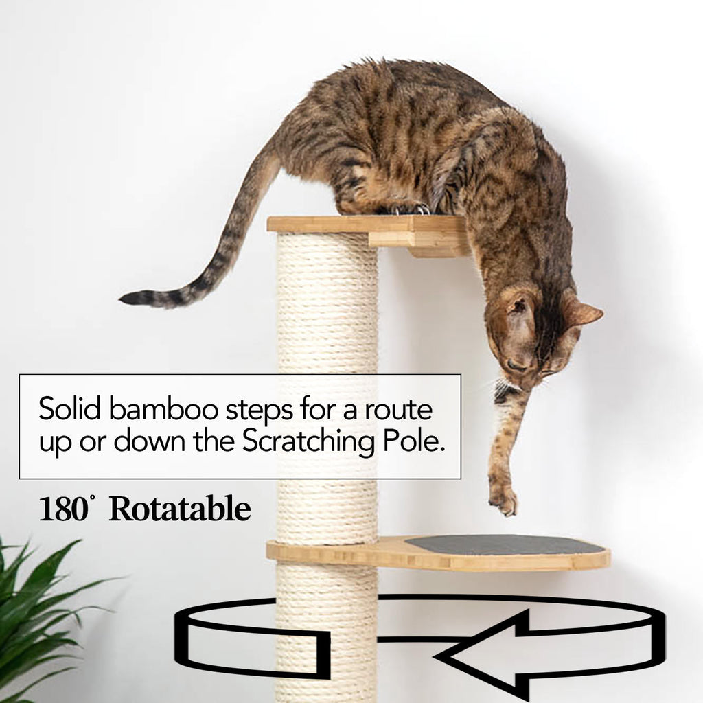 Wall Mounted Cat Climbing Pole