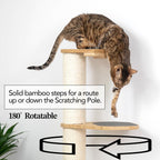 Wall Mounted Cat Climbing Pole