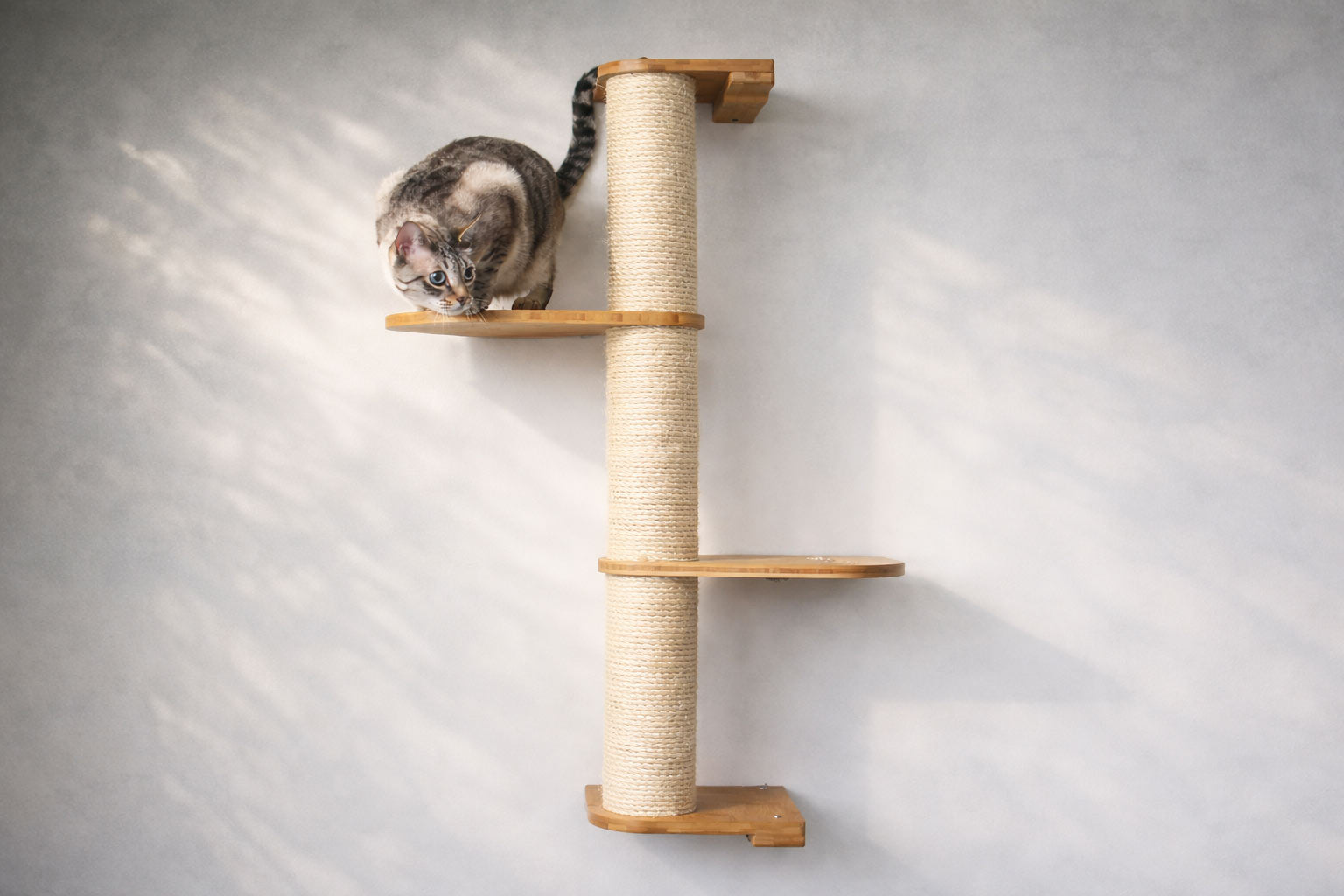 Wall Mounted Cat Climbing Pole