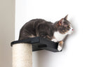 Wall Mounted Cat Climbing Pole