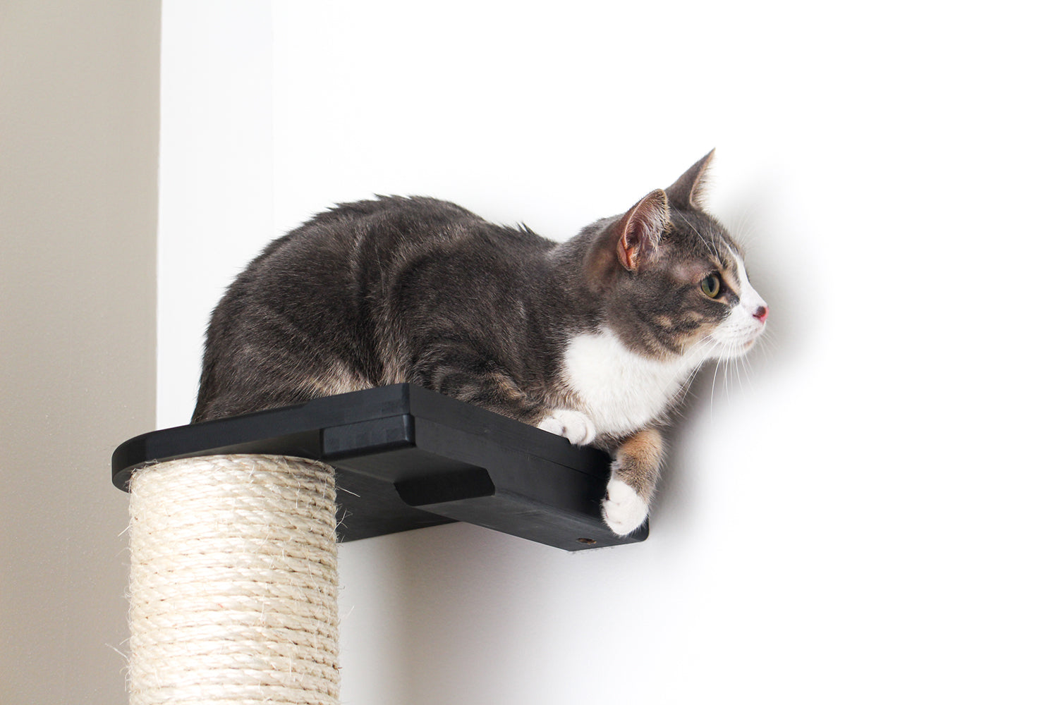 Wall Mounted Cat Climbing Pole